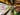 ></a></p><p><a href=